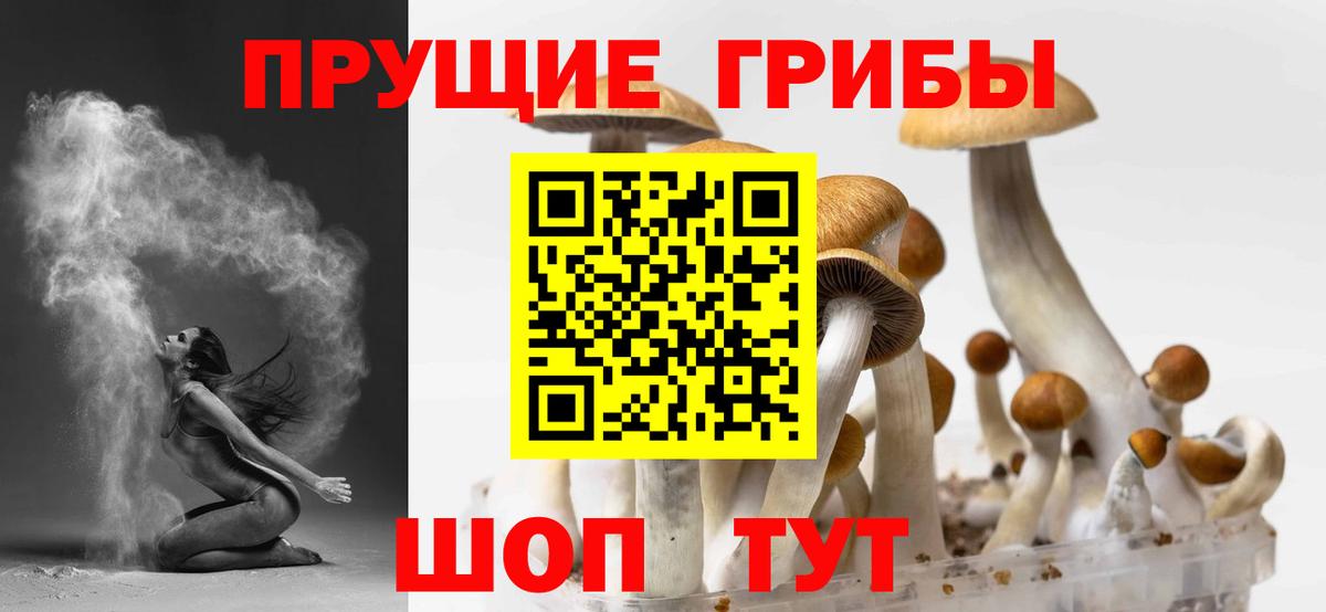 Красноярск  Псилоцибиновые грибы прущие грибы  Вход с VPN 
